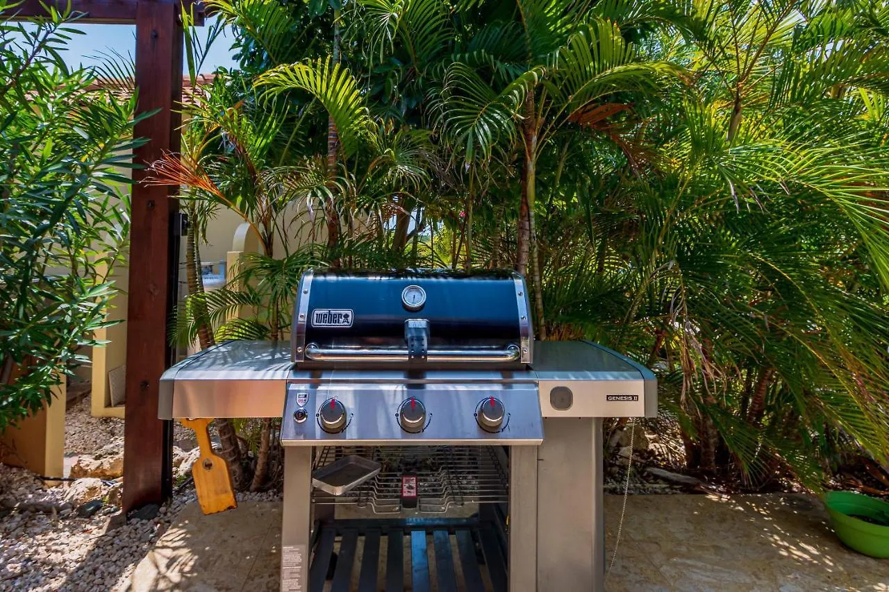 Golfcourse Tropical Guest House Private Pool In Tierra Del Sol Palm Beach 0*,  Aruba